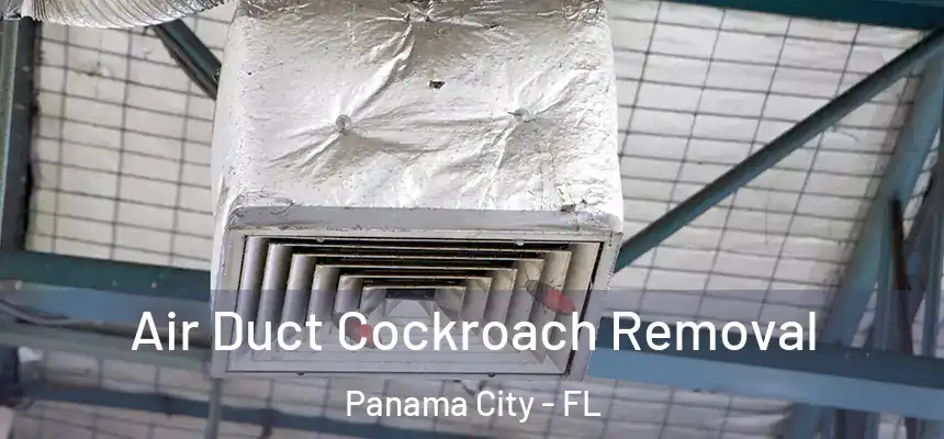 Air Duct Cockroach Removal Panama City - FL