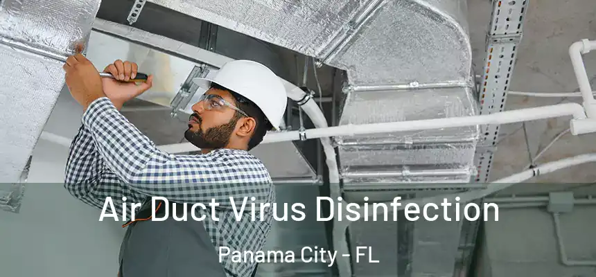 Air Duct Virus Disinfection Panama City - FL