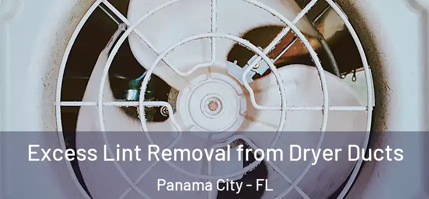 Excess Lint Removal from Dryer Ducts Panama City - FL