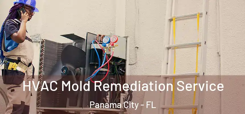 HVAC Mold Remediation Service Panama City - FL