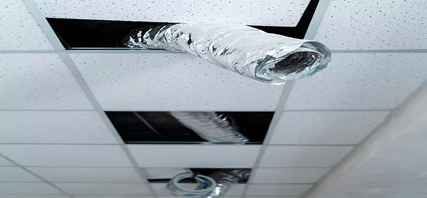 Affordable HVAC Sanitizing After Pest Removal in Panama City