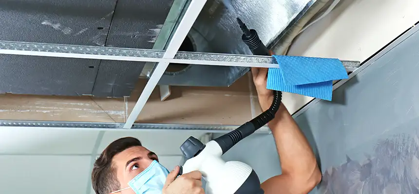 Our Air Duct Rodent Removal Services in Panama City, FL