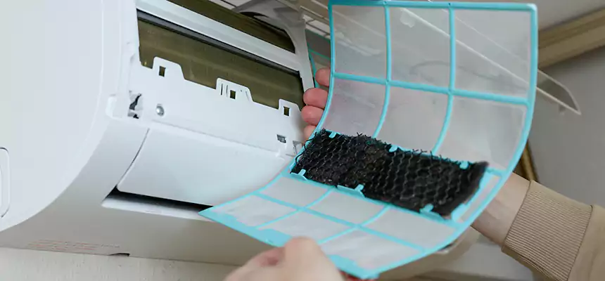 Gentle Ductwork Odor-Control Pet Dander Duct Cleaning in Panama City, FL