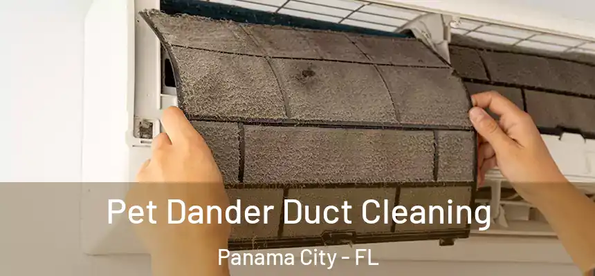 Pet Dander Duct Cleaning Panama City - FL