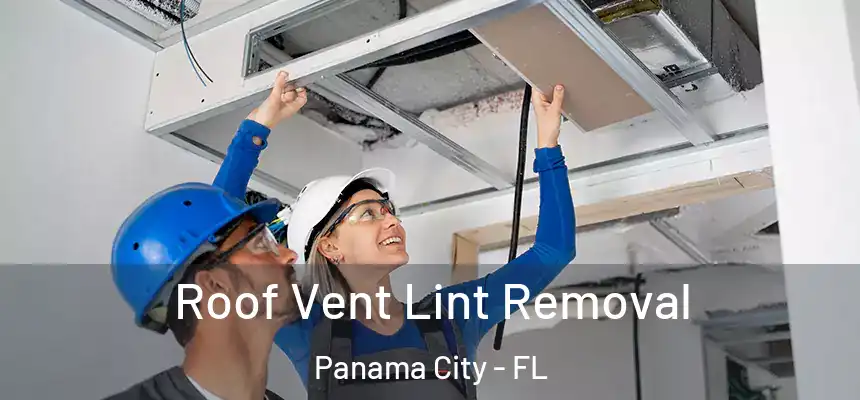 Roof Vent Lint Removal Panama City - FL