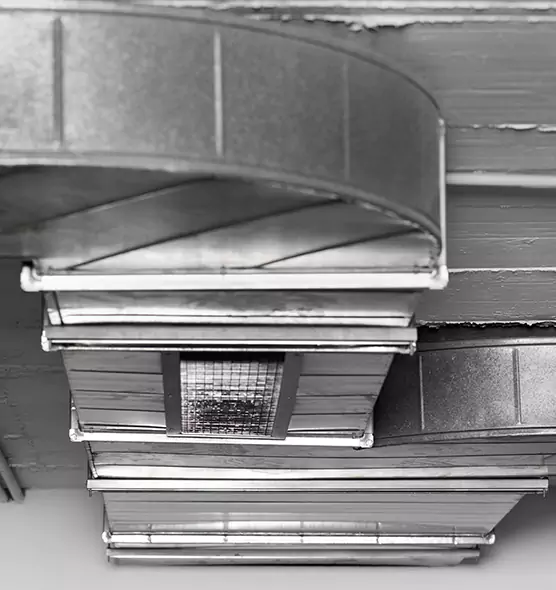 Professional Air Duct Pet Hair Removal in Panama City, FL