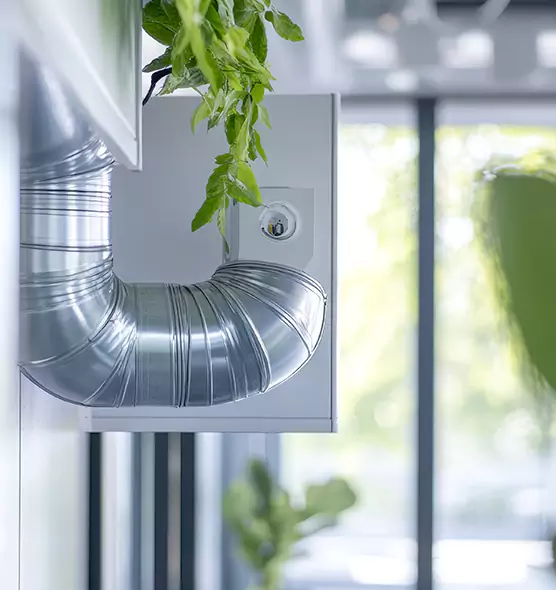 Professional Eco-Safe Dryer Vent Cleaning in Panama City, FL