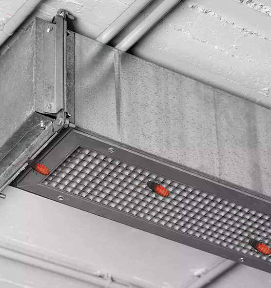 Affordable Insect Removal from Air Ducts in Panama City, FL