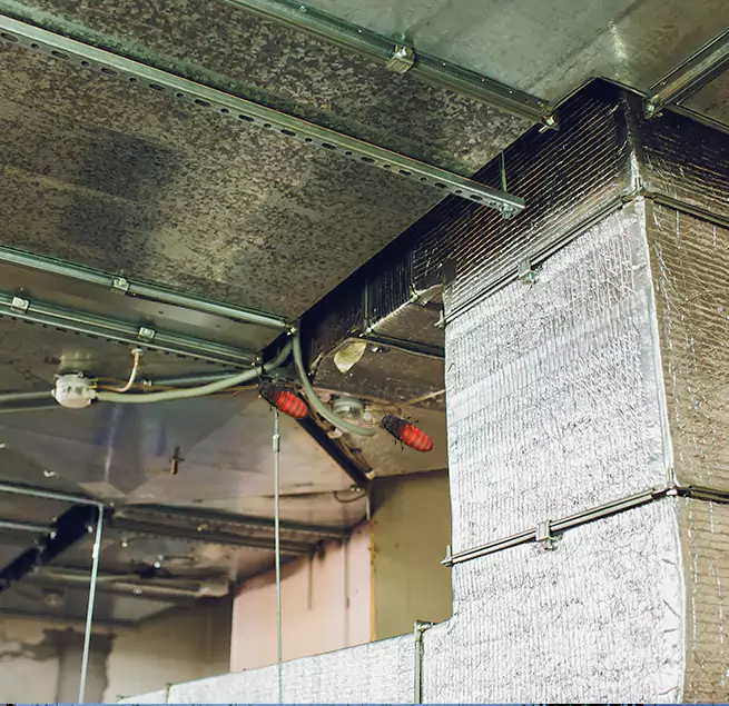 Why Homeowners & Businesses Trust Us in Panama City, FL?