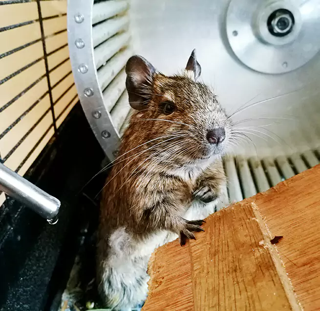 Why Homeowners & Businesses Trust Us Panama City, FL?