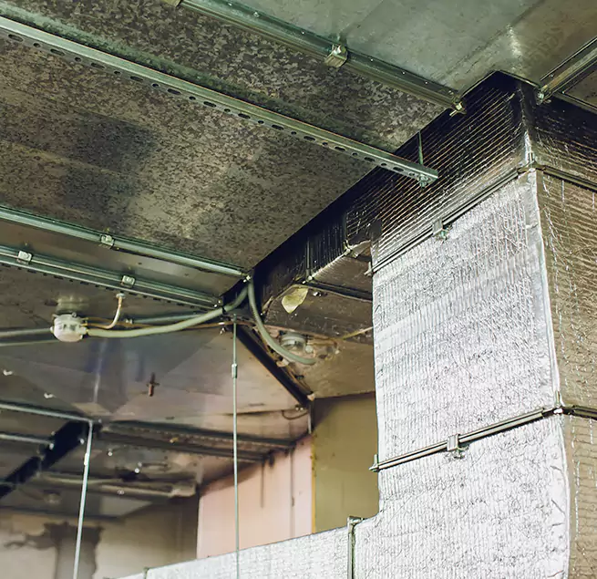 Why Homeowners & Businesses Trust Us in Panama City, FL?