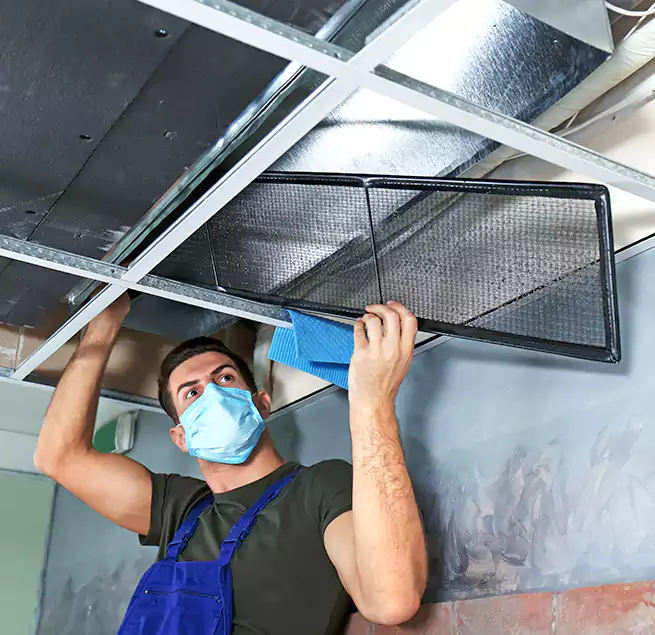 Why Homeowners Businesses Trust Us in Panama City, FL